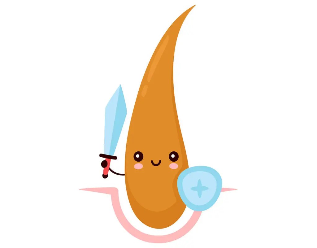 The hair follicle is a vital part of overall hair health and growth