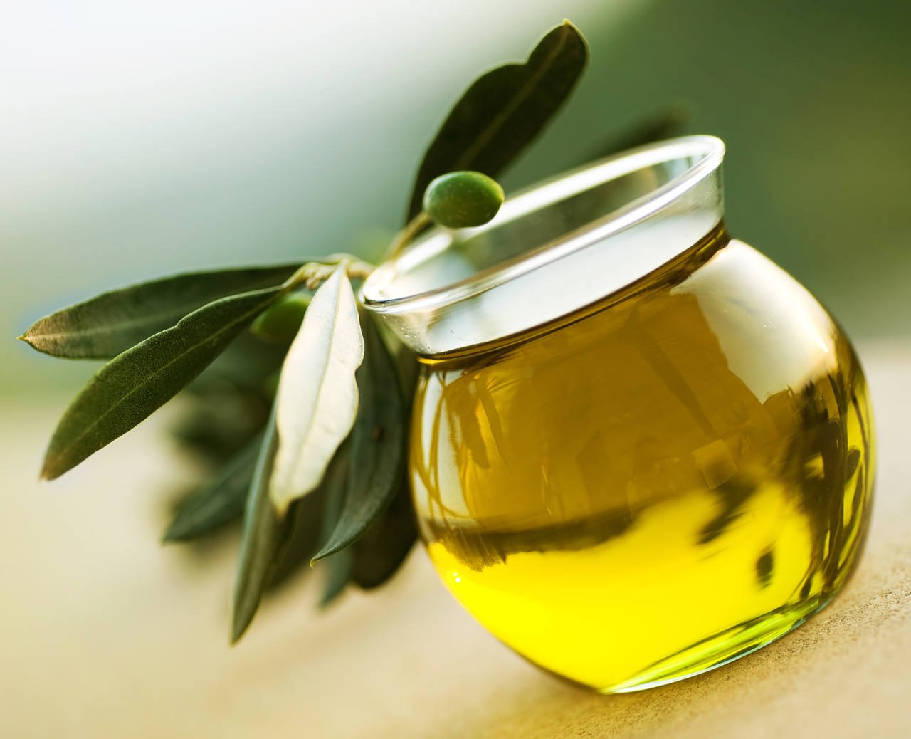 what are the benefits of olive oil for hair