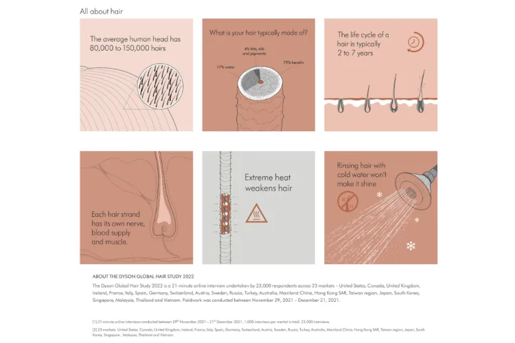 Image showing different facts about hair loss