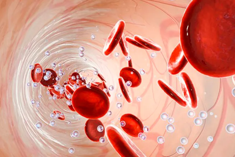 Red blood cells carrying oxygen throughout the body
