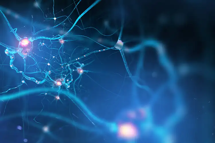 Representation of impulses in the brain that react to various stimuli, symbolic of neuroaesthetic perception