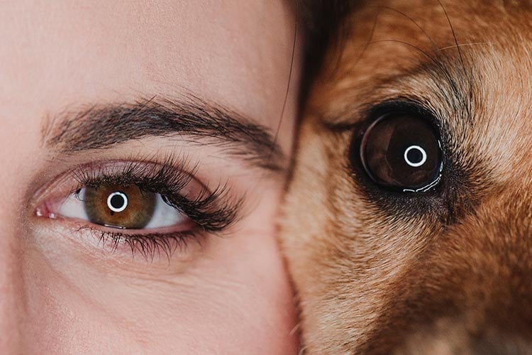 A woman and dog are pressed, cheek-to-cheek, both looking directly at the camera.