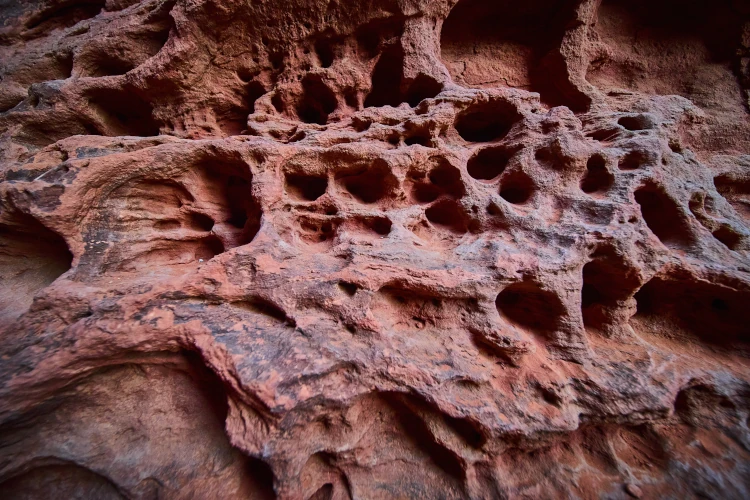 A close-up of the sandstone in Snow Canyon State Park in Utah.