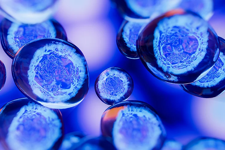 An illustration depicting cell communication.